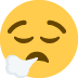1f62e 200d 1f4a8