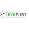 homeLogo