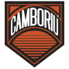teamLogo