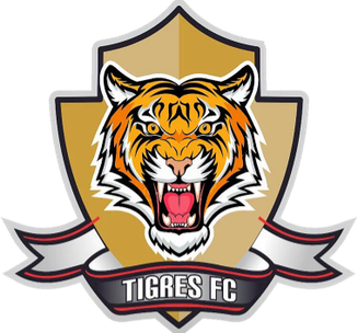 teamLogo